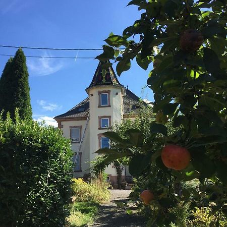 Ferienwohnung L'Aromeantic Rothau Exterior foto